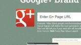 あなたのGoogle+ページを審査する便利ツール「G+ Brand Page Audit」