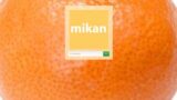 リリース前から話題！ 爆速英単語学習アプリ「mikan」先行登録開始！
