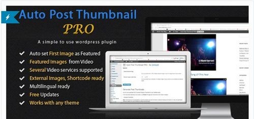 wordpress-premium-plugin-0003