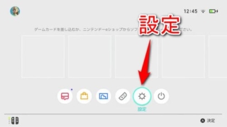 Nintendo Switch(Lite,有機EL含む)にmicroSDカードを入れる方法 | PLUS1WORLD
