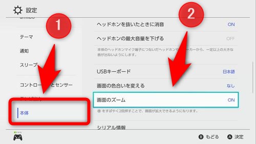 Nintendo Switch のゲーム画面を拡大 ズーム する方法 Plus1world