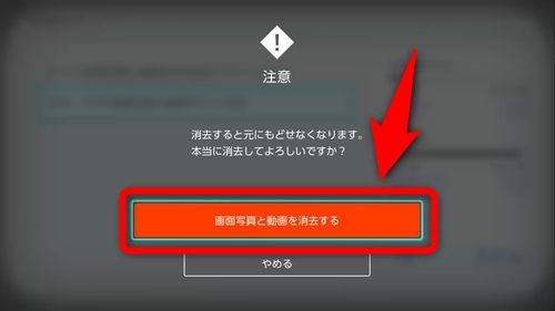 Nintendo Switchでアルバムの写真と動画を全部まとめて削除する方法 Plus1world