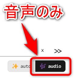 「audio」を選んでからURLを入力し、「≫」ボタンを押せば、対象の動画の音声データだけをダウンロード出来る