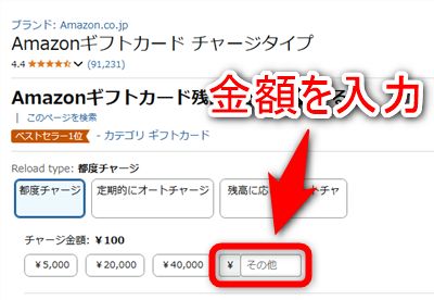 バニラVisaギフトカードの残高と同じ額を入力する